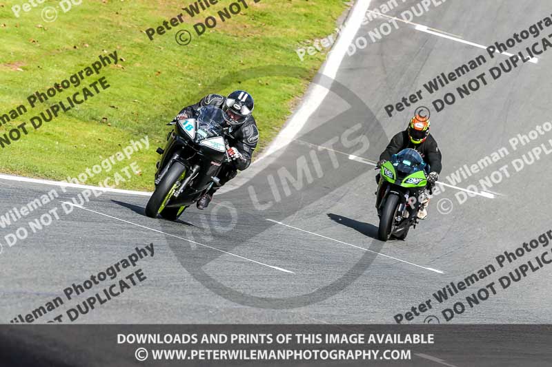 Oulton Park 20th March 2020;PJ Motorsport Photography 2020;anglesey;brands hatch;cadwell park;croft;donington park;enduro digital images;event digital images;eventdigitalimages;mallory;no limits;oulton park;peter wileman photography;racing digital images;silverstone;snetterton;trackday digital images;trackday photos;vmcc banbury run;welsh 2 day enduro